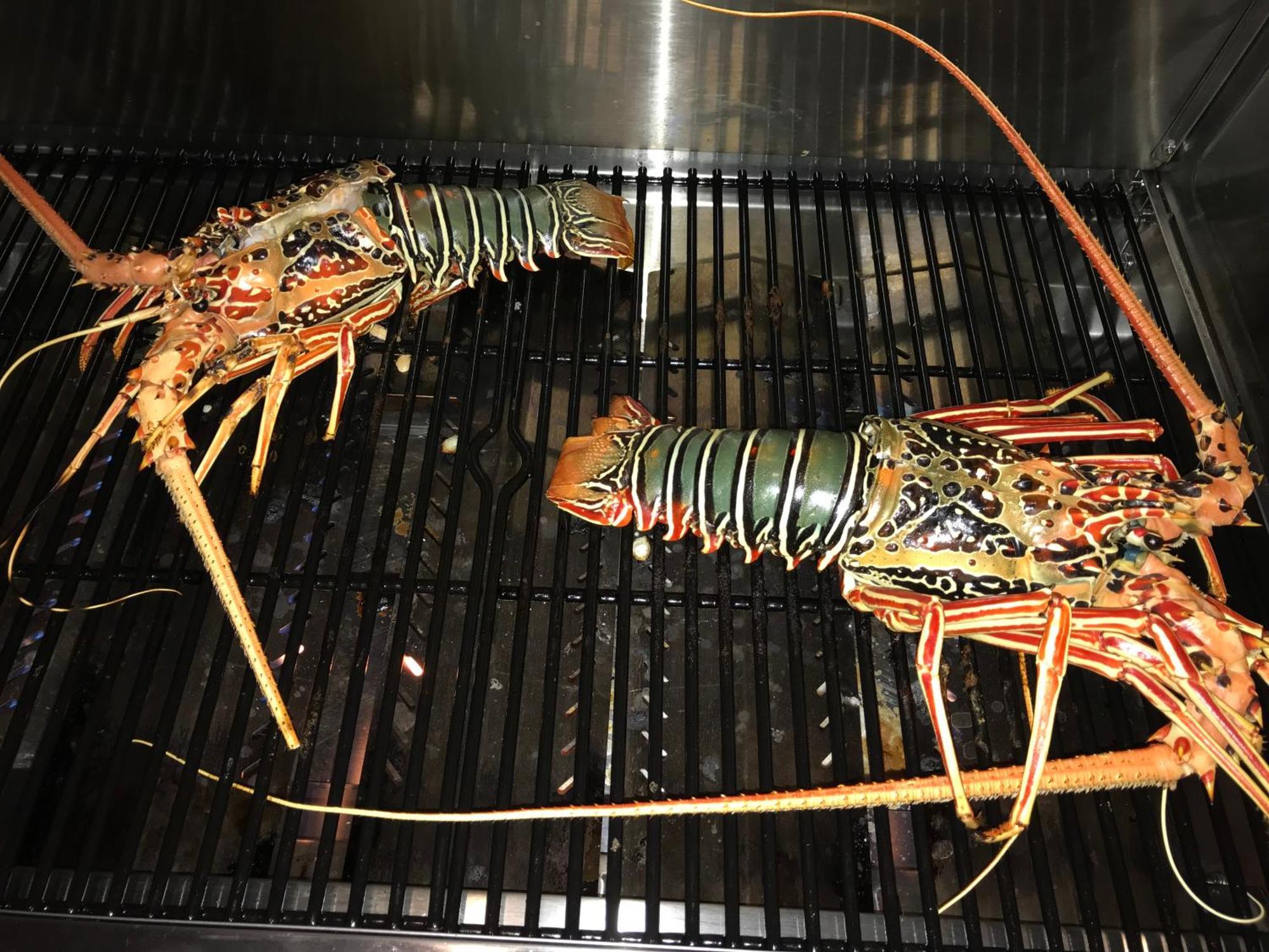 올리브 고이두 호텔 Goidhoo 외부 사진