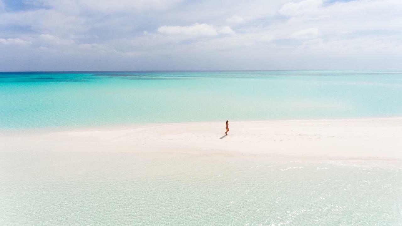 올리브 고이두 호텔 Goidhoo 외부 사진